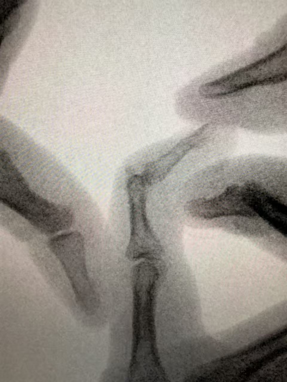 1775206498921060953.jpg 微信图片_2026-04-03_160537_544.jpg